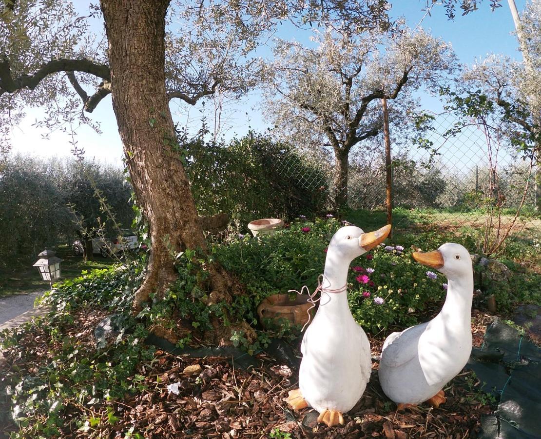 Le Casette sul Garda Cavaion Veronese Exterior foto